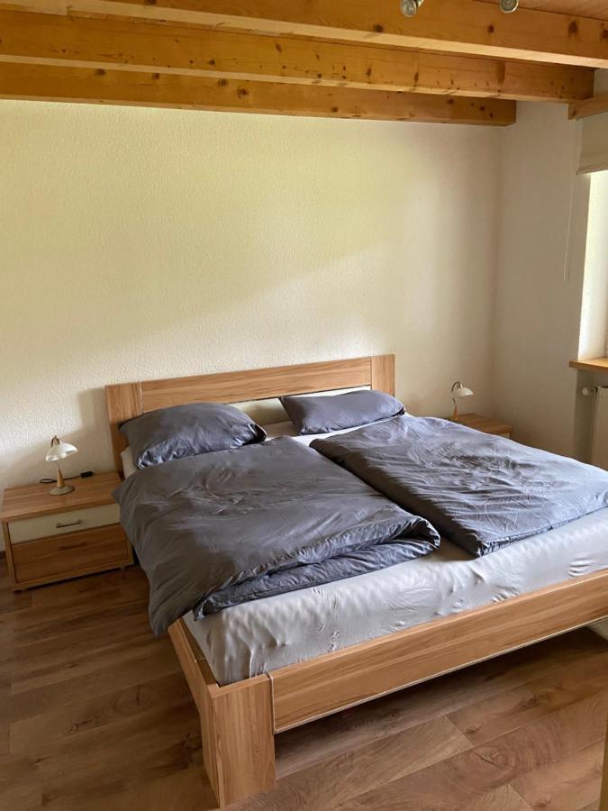 Ferienwohnung Im Herzen Graubuendens Surava Exteriér fotografie